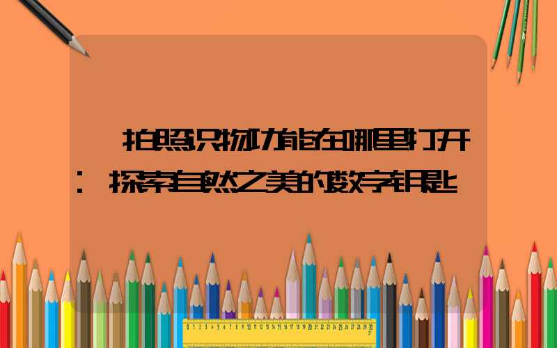 拍照识物功能在哪里打开:探索自然之美的数字钥匙